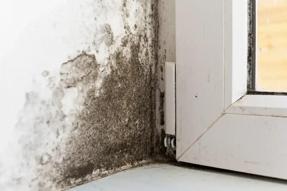 About Storm Guard Restoration (Water Damage) — Salt Lake City, UT